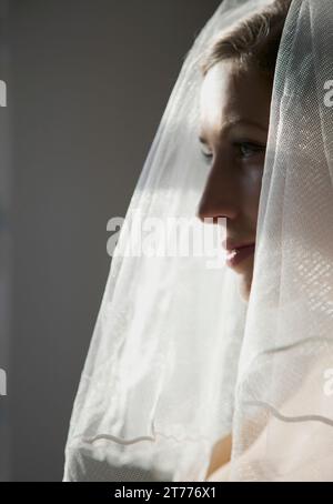 Portrait of a beautiful bride wearing veil Stock Photo - Alamy