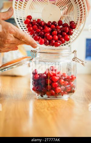 Man Pouring Cherries in a Mason Jar, Close-up view Stock Photo