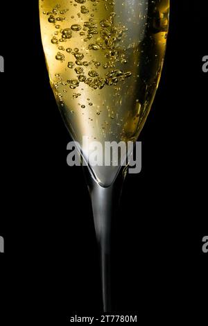 champagne flute with golden fine bubbles on black background Stock Photo