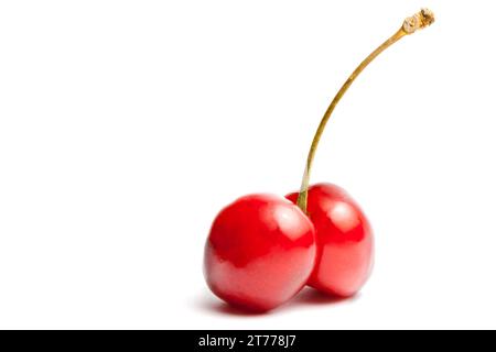 twin cherries with space for text on white background Stock Photo