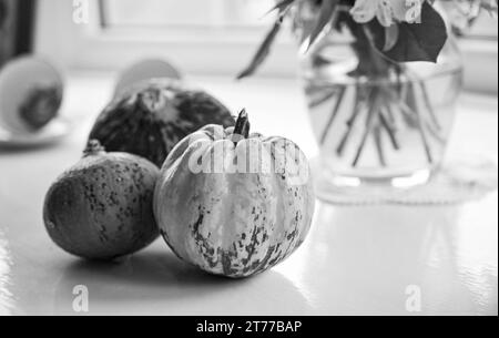 Collection of small squash gourds and pumpkins for Autumn still life Stock Photo