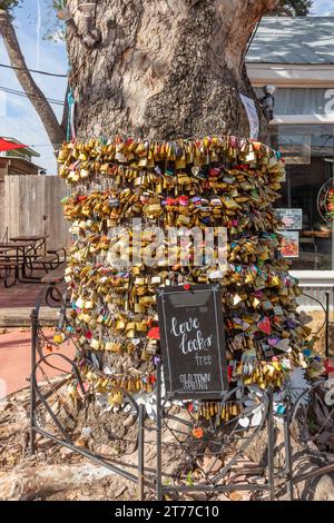 Spring, USA - November 9, 2023: love lockers ant an old tree in Spring, Texas. Stock Photo