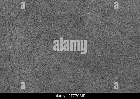 fabric texture, seamless grey carpet or moquette background Stock Photo