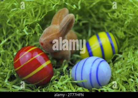 Easter bunny with Easter eggs in Easter nest Stock Photo