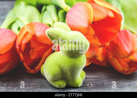 green Easter bunny with tulips on gray background Stock Photo