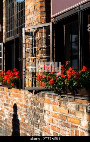 old walls of the historical part of the medieval city of Torun. Poland. Europe. Stock Photo