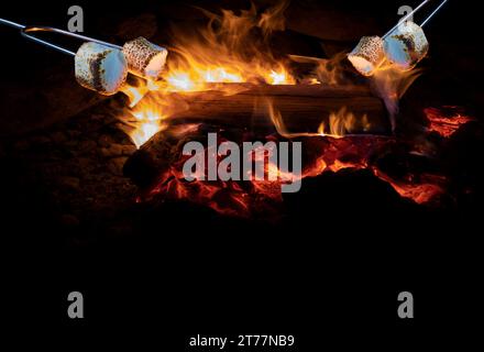 Room for text underneath marshmallows roasting on a nighttime campfire Stock Photo