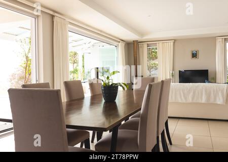Close up of large wooden table, chairs and plant in dining room at home Stock Photo