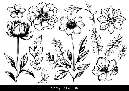 floral vector element made wildflowers. Botanical flowers collection with pink flowers, leaf branches, wreath, leaves, golden black hand drawn. Elegant flowers for decor, prints, logo, wedding, cards. Stock Vector