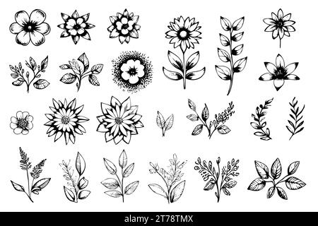 floral vector element made wildflowers. Botanical flowers collection with pink flowers, leaf branches, wreath, leaves, golden black hand drawn. Elegant flowers for decor, prints, logo, wedding, cards. Stock Vector