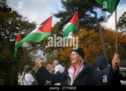 Supporters gather outside Snaresbrook Crown Court to and wave flags in solidarity with the defendants. Palestinian Actionists known as ‘The Elbit Eight' are facing conspiracy charges to commit criminal damage, burglary and some of them, blackmail, against Israeli arms company Elbit systems. The charges go back to 2020. Six weeks have been set aside at court. Palestine Action believe that Elbit's businesses in the UK manufacture drones that are being used in Gaza and elsewhere against the Palestinian people. Their direct actions against Elbit Systems in the UK have already seen two of their 10 Stock Photo