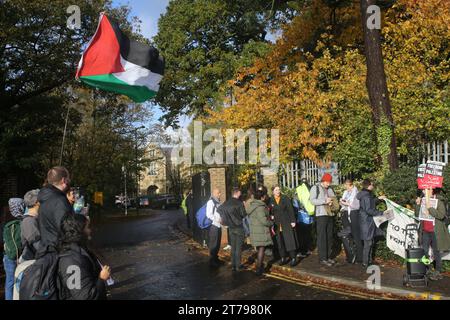 Supporters gather outside Snaresbrook Crown Court to listen to speeches and wave flags in solidarity with the defendants. Palestinian Actionists known as ‘The Elbit Eight' are facing conspiracy charges to commit criminal damage, burglary and some of them, blackmail, against Israeli arms company Elbit systems. The charges go back to 2020. Six weeks have been set aside at court. Palestine Action believe that Elbit's businesses in the UK manufacture drones that are being used in Gaza and elsewhere against the Palestinian people. Their direct actions against Elbit Systems in the UK have already se Stock Photo