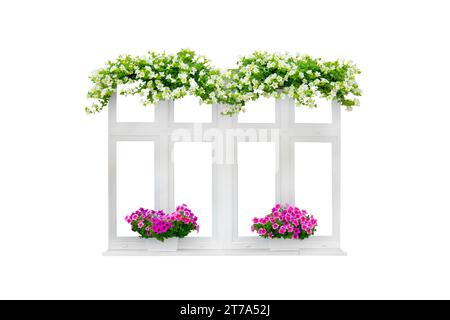white window with petunia flowers isolated on white background Stock Photo
