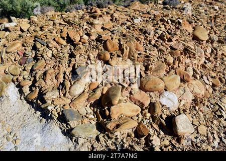 Conglomerate is a clastic sedimentary rock. This sample contains a poorly consolidated matrix. This photo was taken in Cerdanya, Girona, Catalonia, Sp Stock Photo