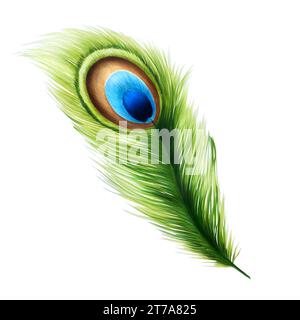 Hand drawn peacock feather with markers in watercolor style. Realistic illustration isolated on white background. Clip art for designers, cards, invit Stock Photo