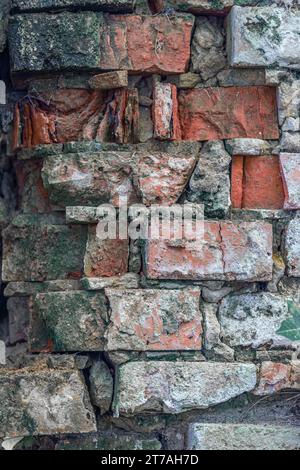 close-up photo of ivy leaves on a brick wall. Stock Photo