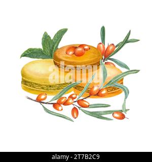 Traditional French macarons. Orange almond cookies, macaroon cake. Sea buckthorn macaroons. Sweet berry, fruit dessert. Watercolor illustration. Stock Photo