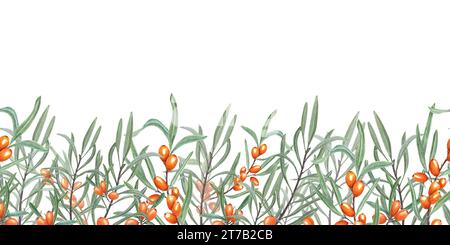 Seamless border of Sea Buckthorn. Sandthorn, sallowthorn. Illustration with bright Orange Berries and Green Leaves suitable for card design, textile Stock Photo