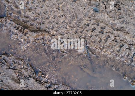 close up of tire tracks on the sand on the coast Stock Photo