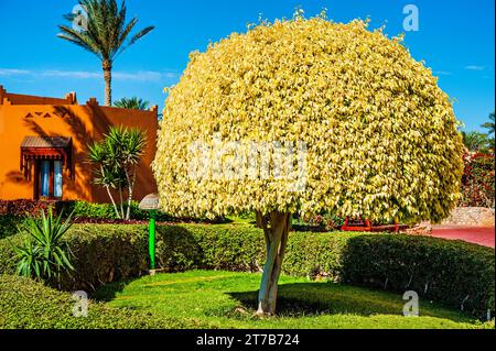 Exterior one Egyptian hotels in Sharm el-Sheikh. Stock Photo