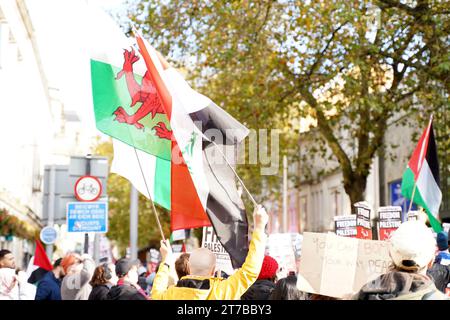 Cardiff, Wales 11th Nov 2023.  March for Palestine.  Peaceful protest march through Cardiff City Centre. Stock Photo