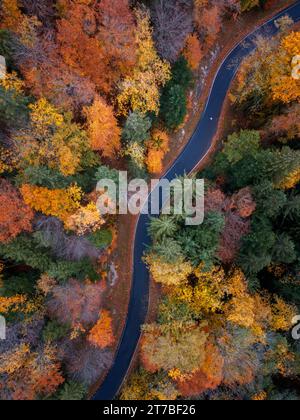 Aerial view of the winding road through lush green hills leading to the ...