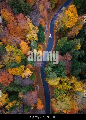 Aerial view of a winding road along the edge of a green lake surrounded ...