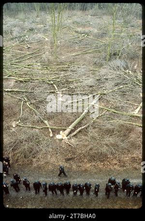 1984: Auch Fotografen, Kameraleute und Redakteure blieben da nicht verschont Fotos: Leopold NEKULA/VIENNAREPORT e. U. âÖï Besetzung der Hainburger Au: Räumung 19. Dezember 1984, Hainburger Au, Bruck an der Leitha, Niederösterreich . âï Was die Klimabewegung von früheren Erfolgen lernen kann: https://www.derstandard.de/story/2000143887381/was-die-klimabewegung-von-frueheren-erfolgen-lernen-kann . Bild: Nachdem die Au zum Sperrgebiet erklärt worden war, kam es am 19. Dezember 1984 zu einem umstrittenen Polizeieinsatz, bei dem unter Schlagstockeinsatz eine Fläche von ca. 4 ha mit Absperrungen Stock Photo