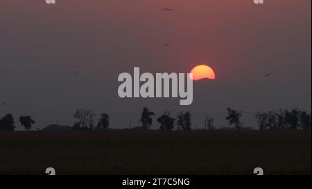 Sunset over rocky mountains with silhouettes of trees and mountain tops. Stock Photo