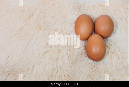 3 eggs laid on cream wool Stock Photo