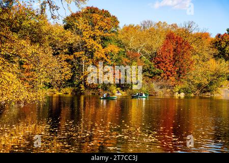 Couples canoe in the great pond of New York's Central Park among the beautiful fall foliage. Stock Photo