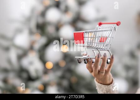 It's time for Xmas shopping as woman holds a small shopping trolley with a Christmas tree in the background. Stock Photo