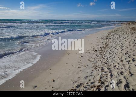 Mallorca, Spain - Nov 1, 2023: Platja d' Es Trenc beach Stock Photo