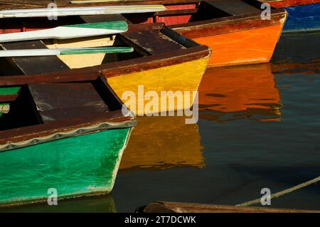 Colorful row boats reflected in a pond in a park in Tel Aviv, Israel. Stock Photo