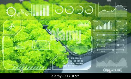 Green salad overlay modern chart graphics HUD for digital computer IOT technology in agriculture farm plant grow analysis concept Stock Photo