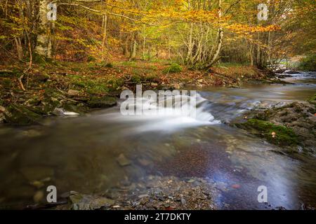 Uztarroz River, Navarra, Spain, passing through beech forests in autumn with long exposure Stock Photo