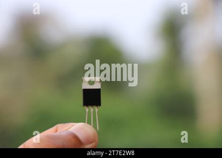 Power transistor which is used in electronic circuits held in the hand Stock Photo