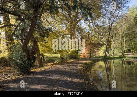 Autumn walk in Surrey at Painhill park gardens near Cobham Stock Photo