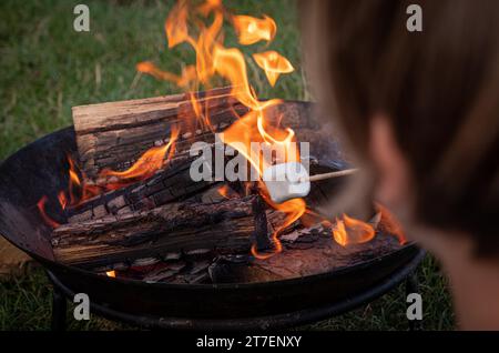 A young female is skillfully roasting marshmallows on a barbeque grill over an open campfire Stock Photo