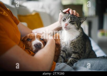 Man sitting on sofa with domestic animals. Pet owner stroking his old cat and dog together. Stock Photo
