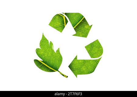 Icons recycle reduce reuse recycle recycle symbol Ecology An ecological metaphor for ecological waste management. Reduce, reuse, recycle. Stock Photo