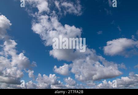 Blue sky background with Cumulus clouds. Stock Photo