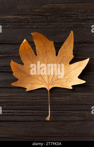 Dry yellow leaf on a structural wooden background top view. Autumn leaf on a dark background. Dry maple sycamore leaf. Autumn composition. Stock Photo