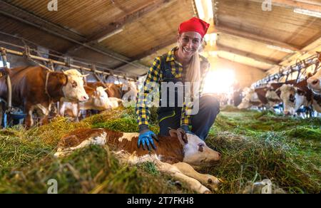 Female farmer kneeling beside resting calf in cowshed with cattle Stock Photo