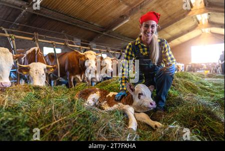 Happy female farmer kneeling beside resting calf in cowshed with cattle Stock Photo