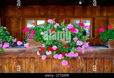 idyllic scene with a traditional Bavarian rustic alpine farmhouse with red geraniums on the balcony ledge in Schwangau in the Bavarian Alps in summer Stock Photo