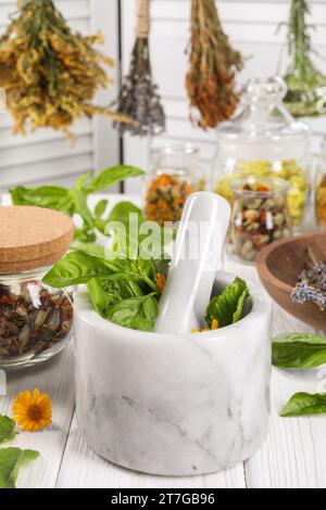 Mortar with pestle and many different medicinal herbs on white wooden table Stock Photo