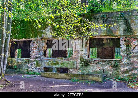 Wolf's Lair is a town of bunkers surrounded by forest, lakes and swamps. This is Adolf Hitler's largest and most recognizable field command. Stock Photo