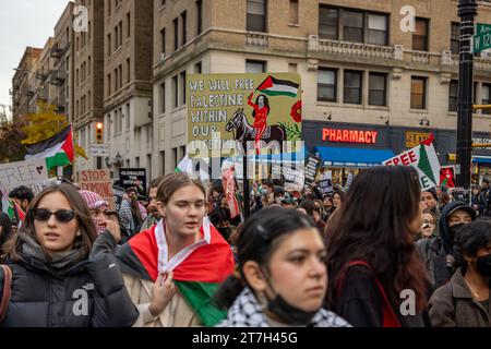 NEW YORK, NEW YORK - NOVEMBER 15: A pro-Palestine protester holds a sign that reads: 'We will free Palestine within our lifetime' during a protest urging the University to cut ties with Israel on November 15, 2023 in New York City. Since October 7, the Israeli army's bombardment of the Palestinian enclave, in retaliation for the Hamas attack on Israel that killed over 1,400 people, has seen thousands of buildings razed to the ground, more than 11,000 people killed and 1.4 million displaced whilst Gaza remains besieged. (Photo by Michael Nigro/Sipa USA) Credit: Sipa USA/Alamy Live News Stock Photo