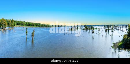 Lake Bigeaux under blue skies and white clouds in Louisiana with dead trees in swamp area Stock Photo